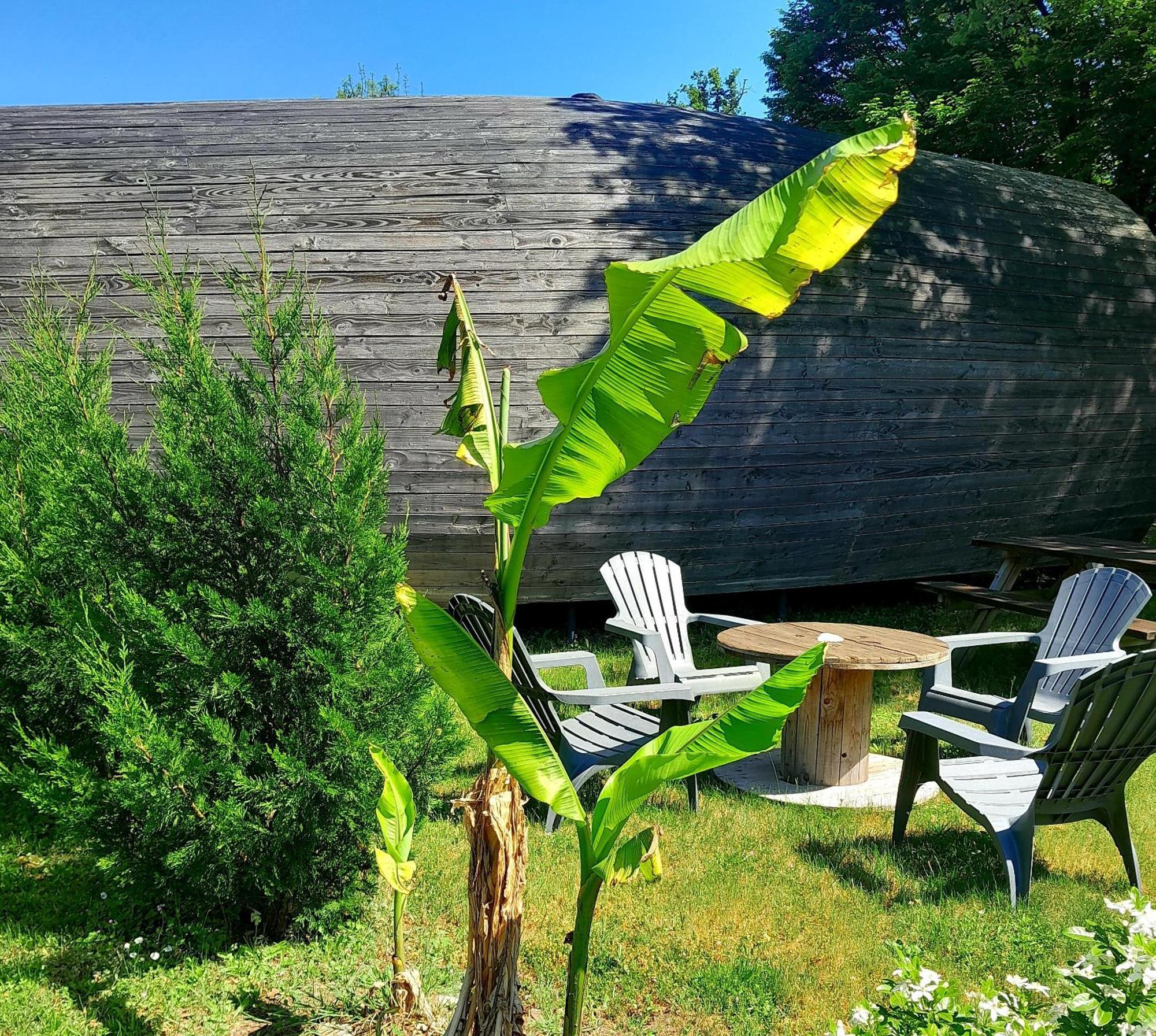 " Village Tonneaux De Tirpoil " Montilliers Exterior photo